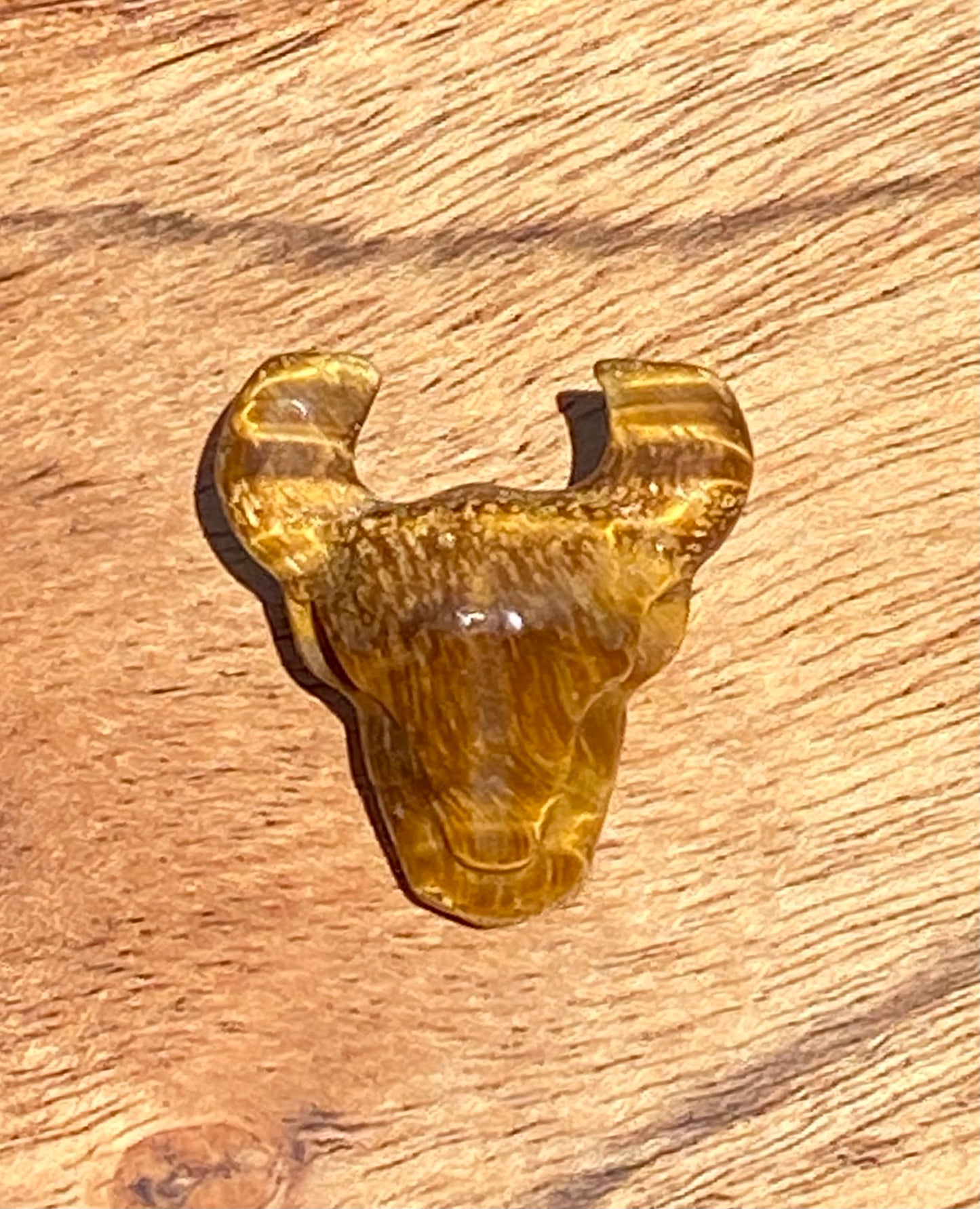 Tigers Eye Bulls Head