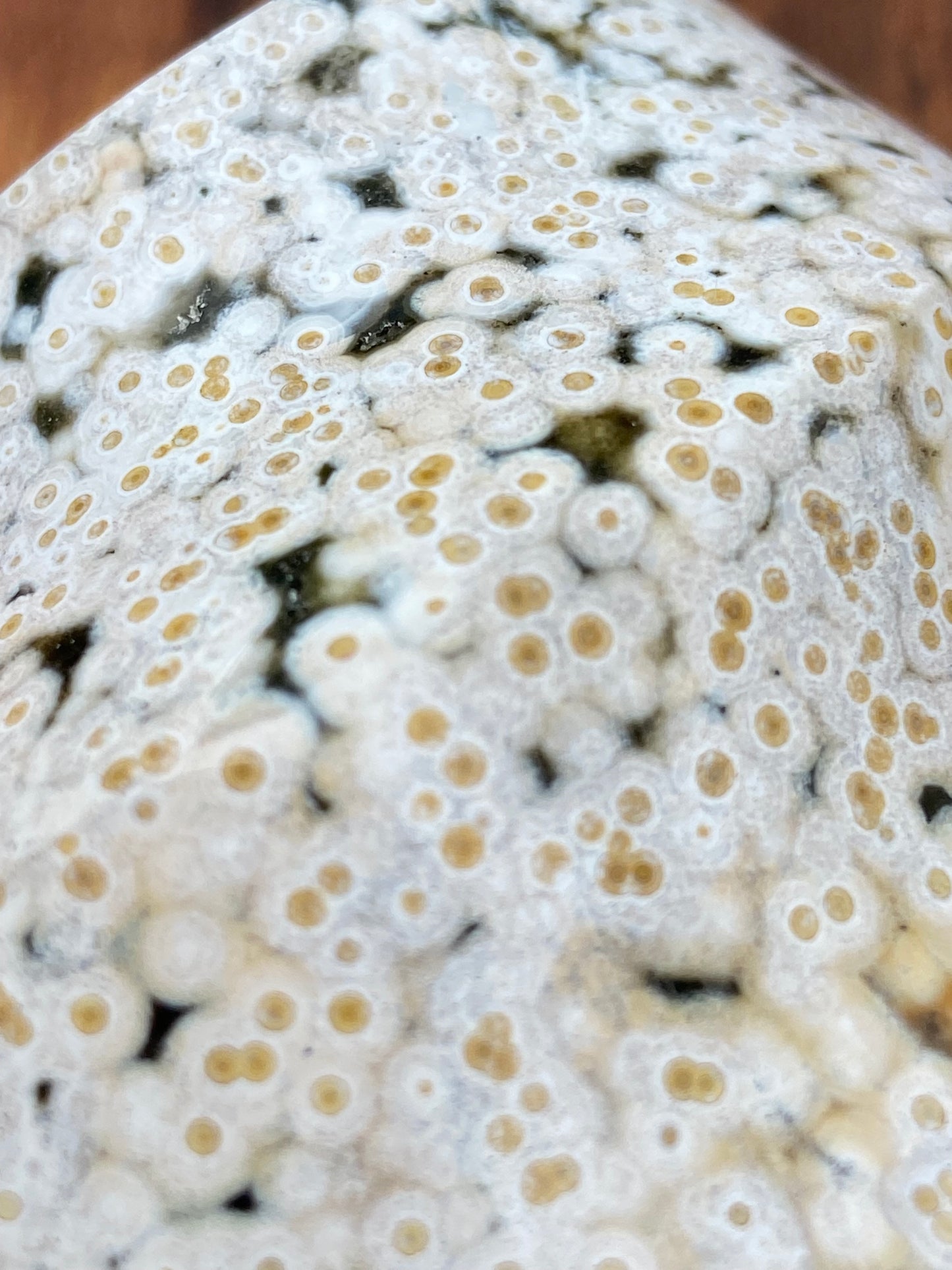 Old Stock Ocean Jasper Flame