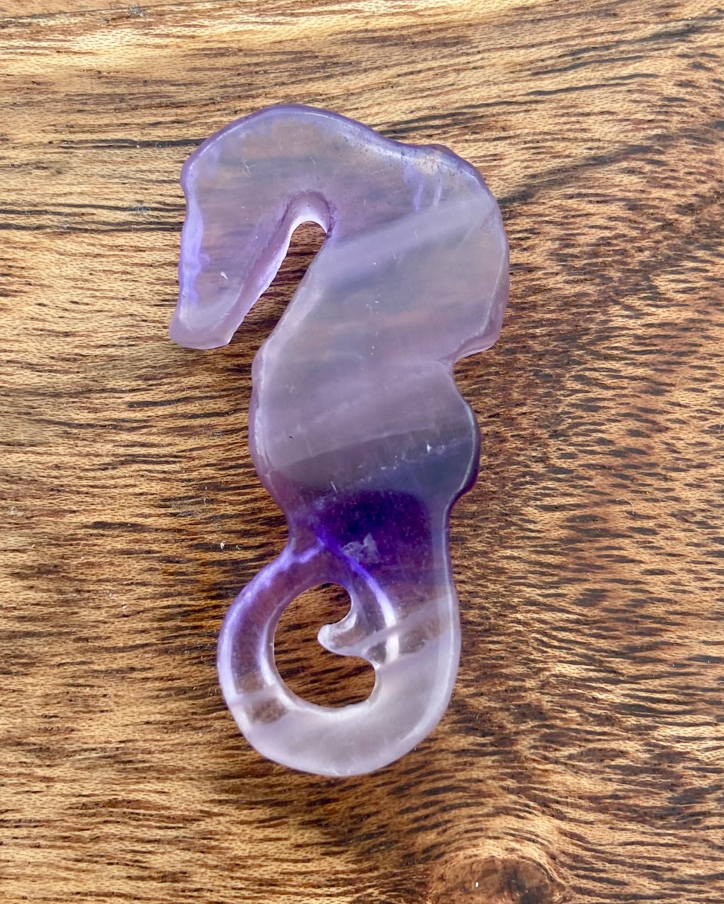 Rainbow Fluorite Seahorse