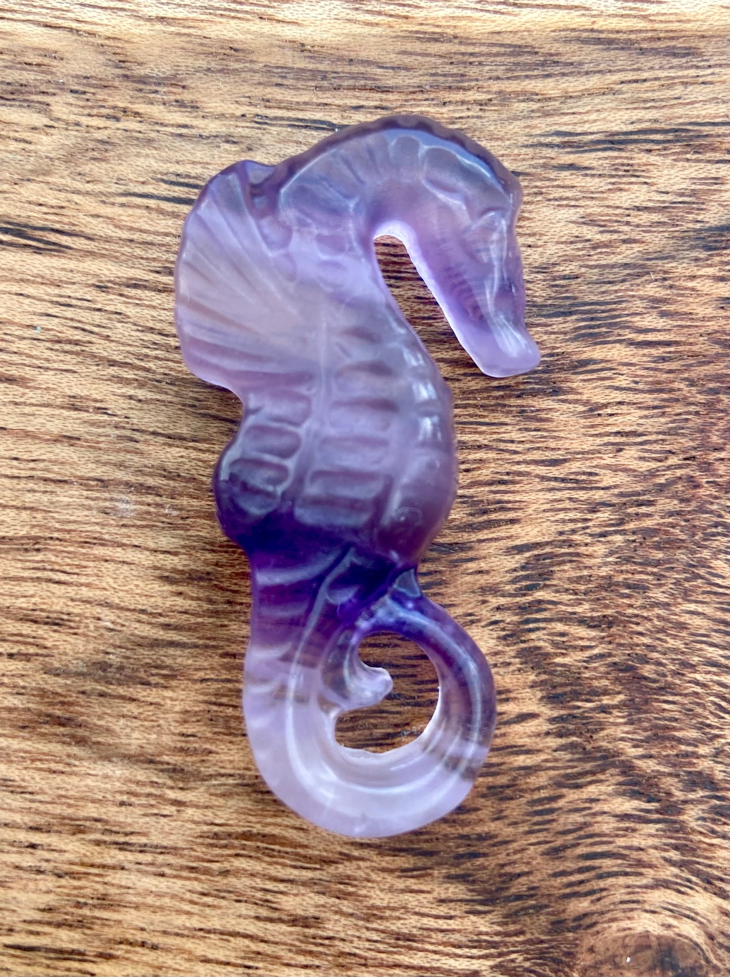 Rainbow Fluorite Seahorse