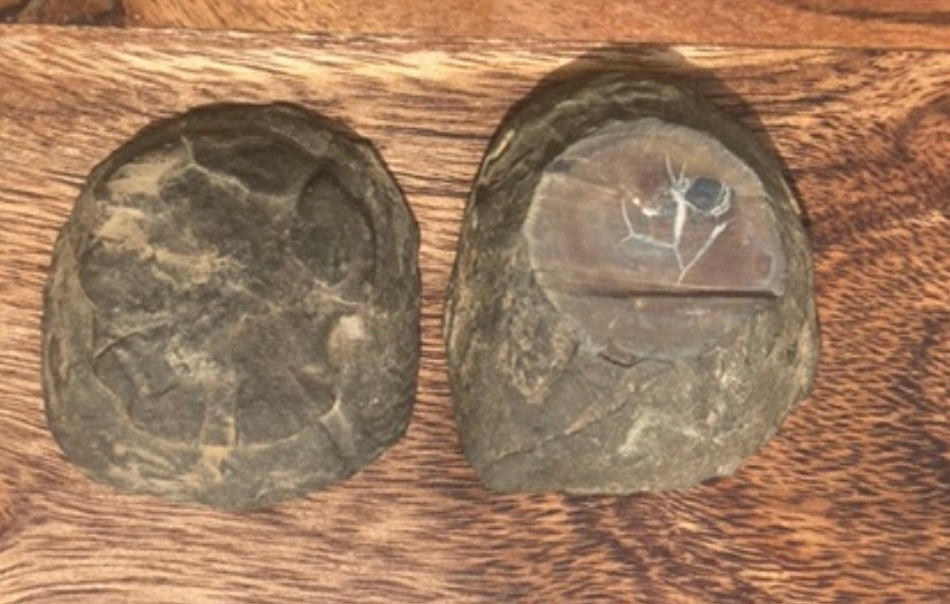 Septarian Nodule Geode Pair #1