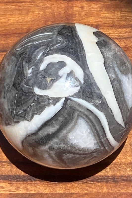 Shell Fossil Sphere