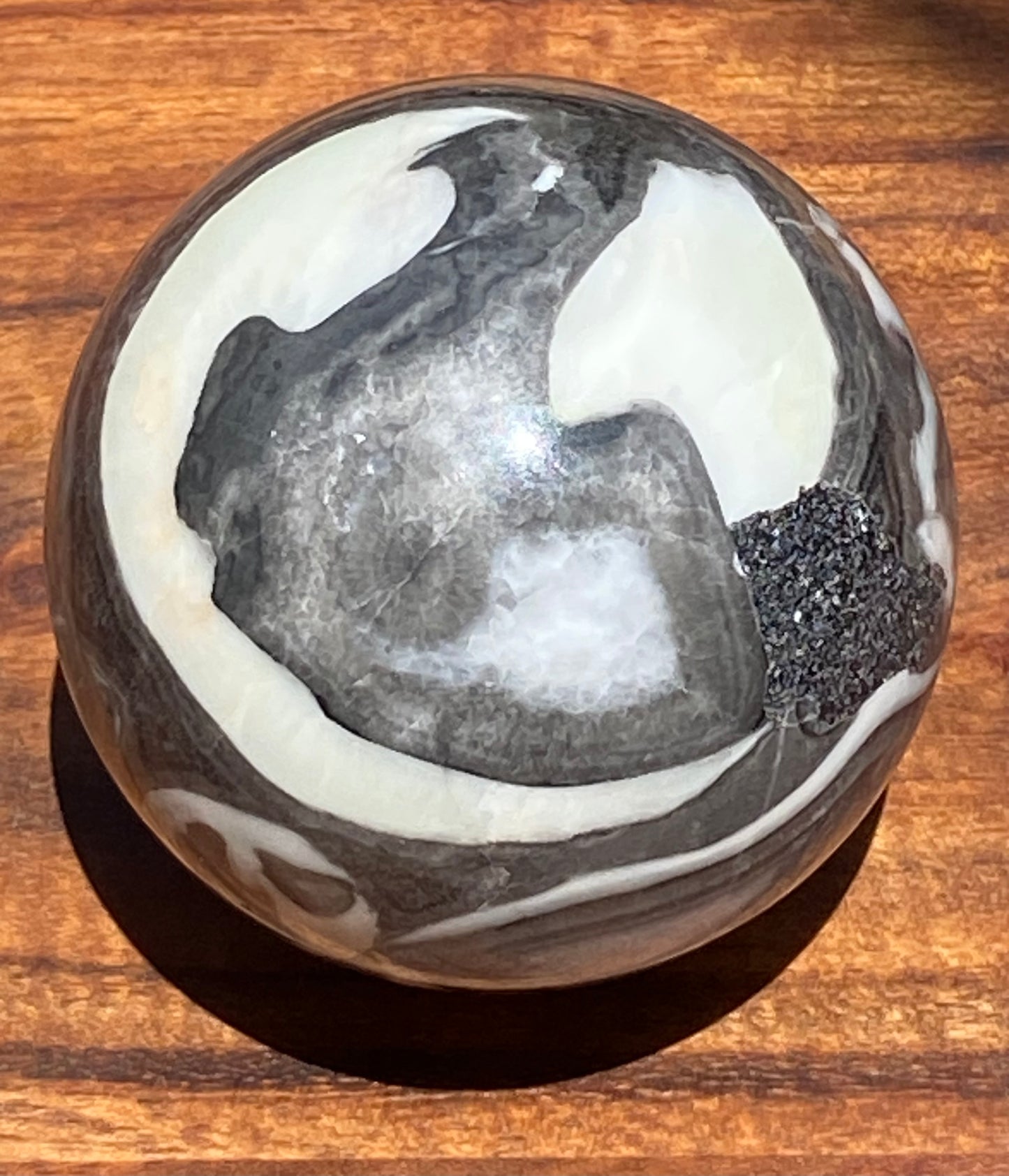 Shell Fossil Sphere
